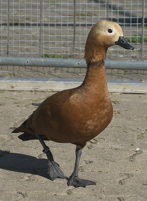 三大现实难